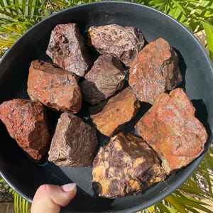 May include: A selection of natural, rough rocks in a dark grey bowl. The rocks are various sizes and textures, with shades of red, brown, and tan. The bowl is held by a hand, with green foliage in the background. The rocks display visible patterns and colour variations.