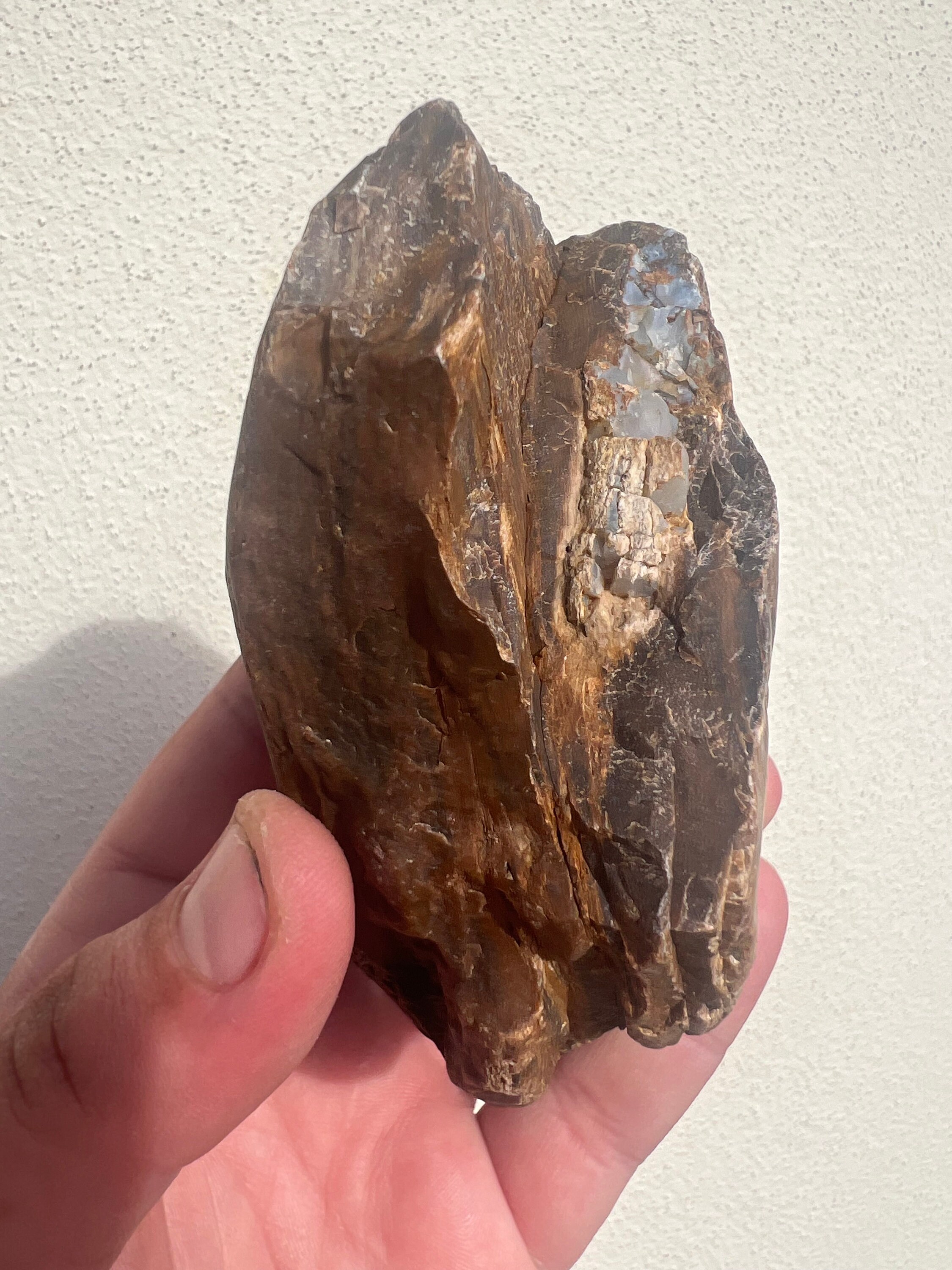 Rare Australian Opalized Wood Fossil 505 Grams Rock Collectors