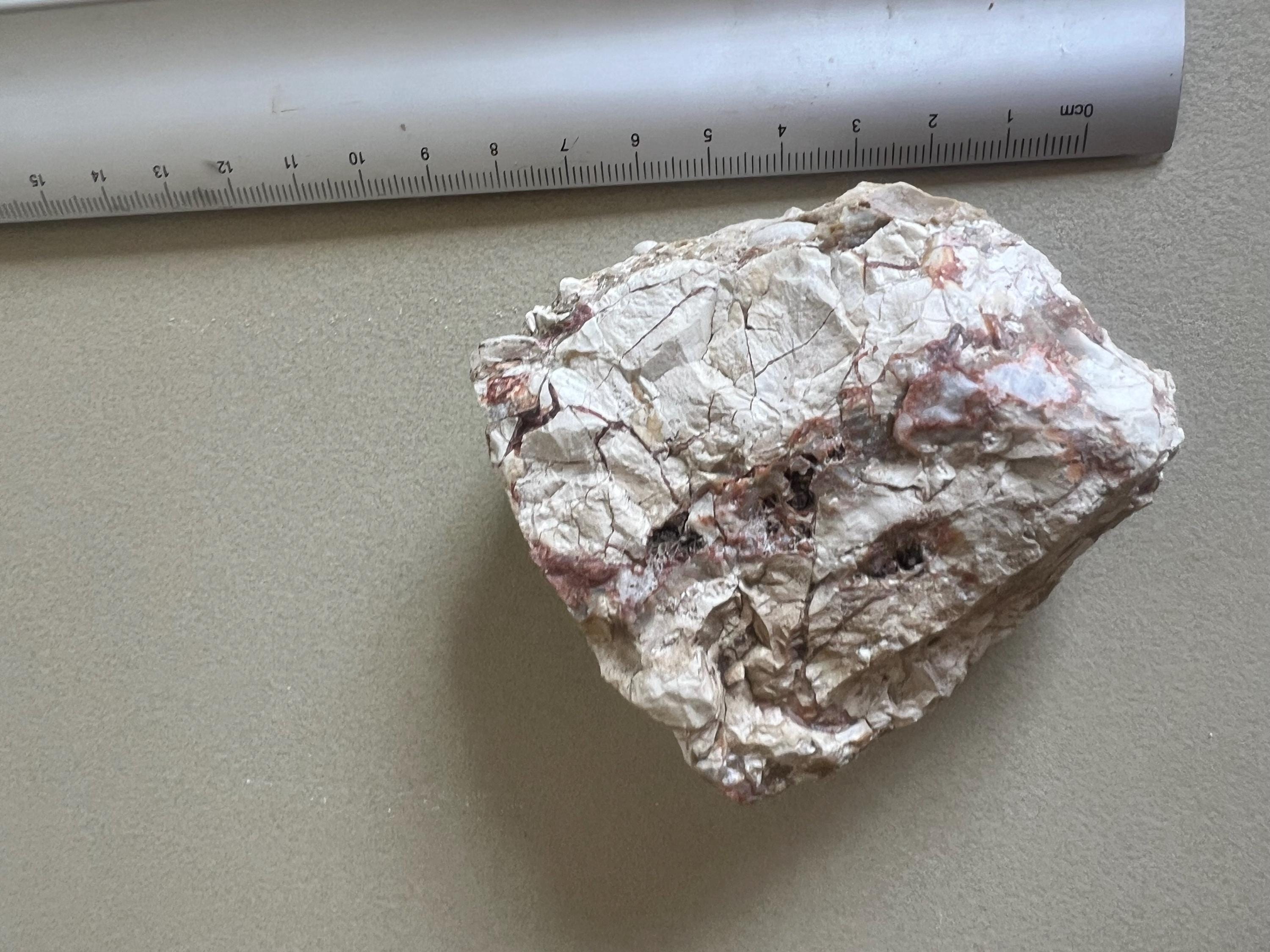オーストラリア産 サンダーエッグ原石 礫岩 標本 190グラム 天然玉髄