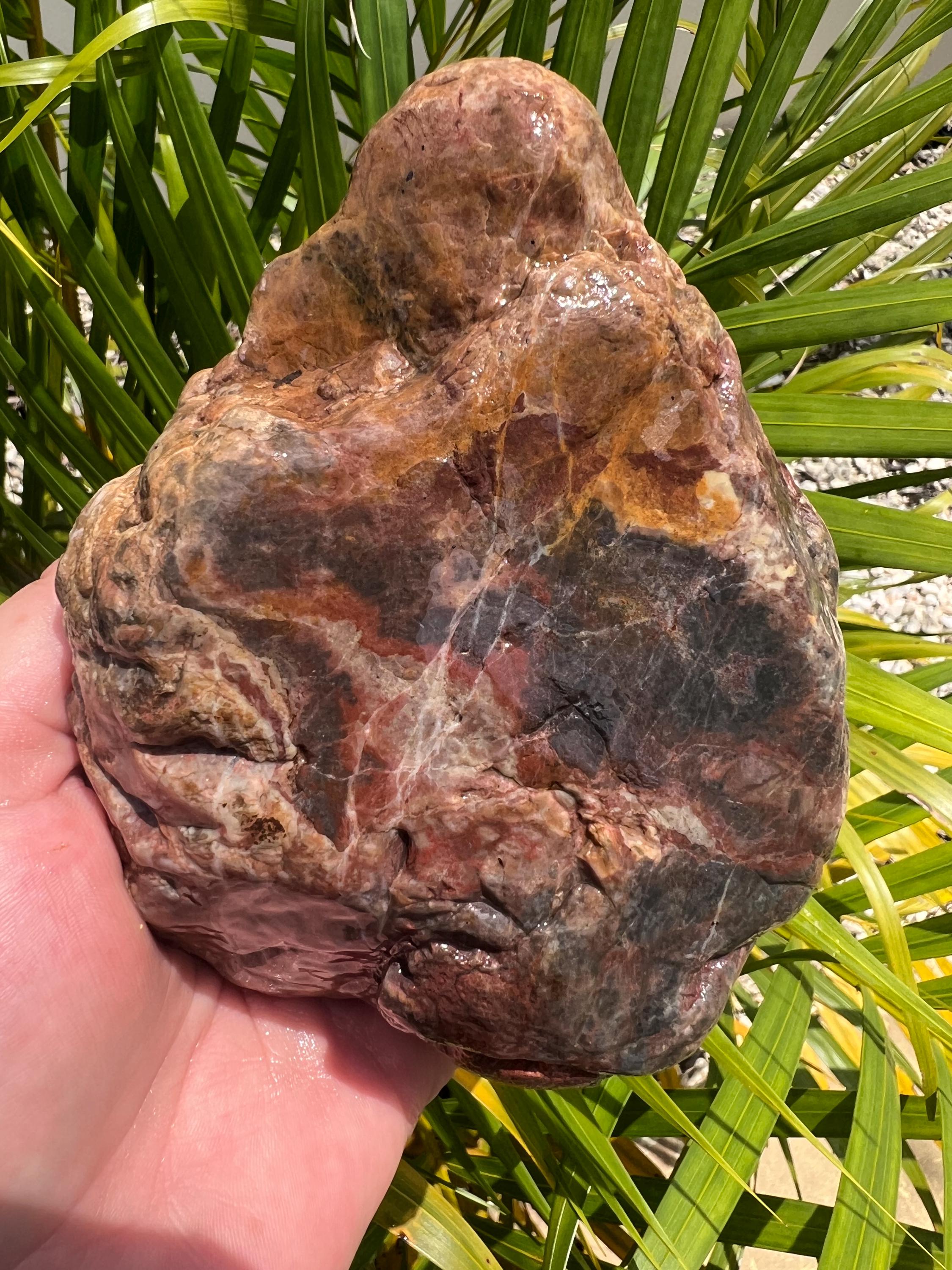 Australian Rough Brecciated Jasper Chalcedony Boulder 910 Grams