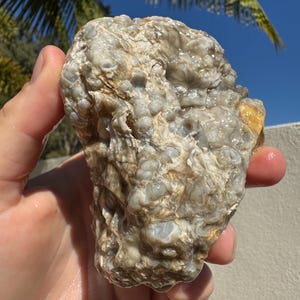 Australian Rough botryoidal Thunderegg chunk 400 grams Natural Specimen Collector Rocks thunderegg agate