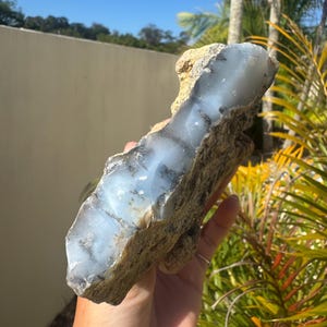 May include: A large, raw stone with a light blue and grey interior, encased in a rough, tan-coloured exterior. The stone is held up against a backdrop of green foliage and a clear blue sky. This natural stone is a unique decorative item.
