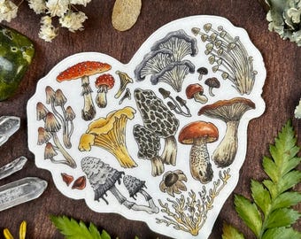 Watercolor Mushroom Sticker | Clear Vinyl Sticker | Nature Art | Botanical Stickers