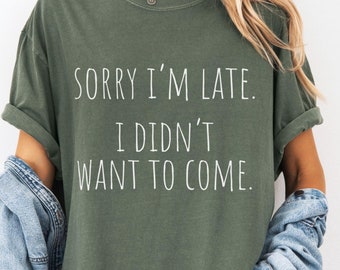 Inappropriate Shirt, Introvert Shirt, Unhinged Shirt, Shirts That Go Hard, Funny Gift Shirt, Sarcastic Shirt, Adult Humor Tee, Offensive Tee