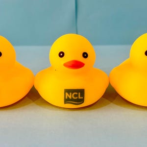 May include: Three yellow rubber duck toys with black eyes and orange beaks. Each duck has a different logo on its chest: a crown, the letters "NCL" in a rectangle, and a red and white logo.