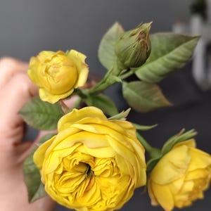 Realistic yellow rose, branch of bush rose, handmade polymer clay rose cold porcelain ceramic flowers, gift, home decor rose