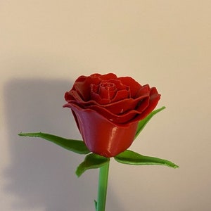 May include: A detailed red rose with a glossy finish, set against a neutral background. The green stem and leaves provide contrast. A classic floral design.