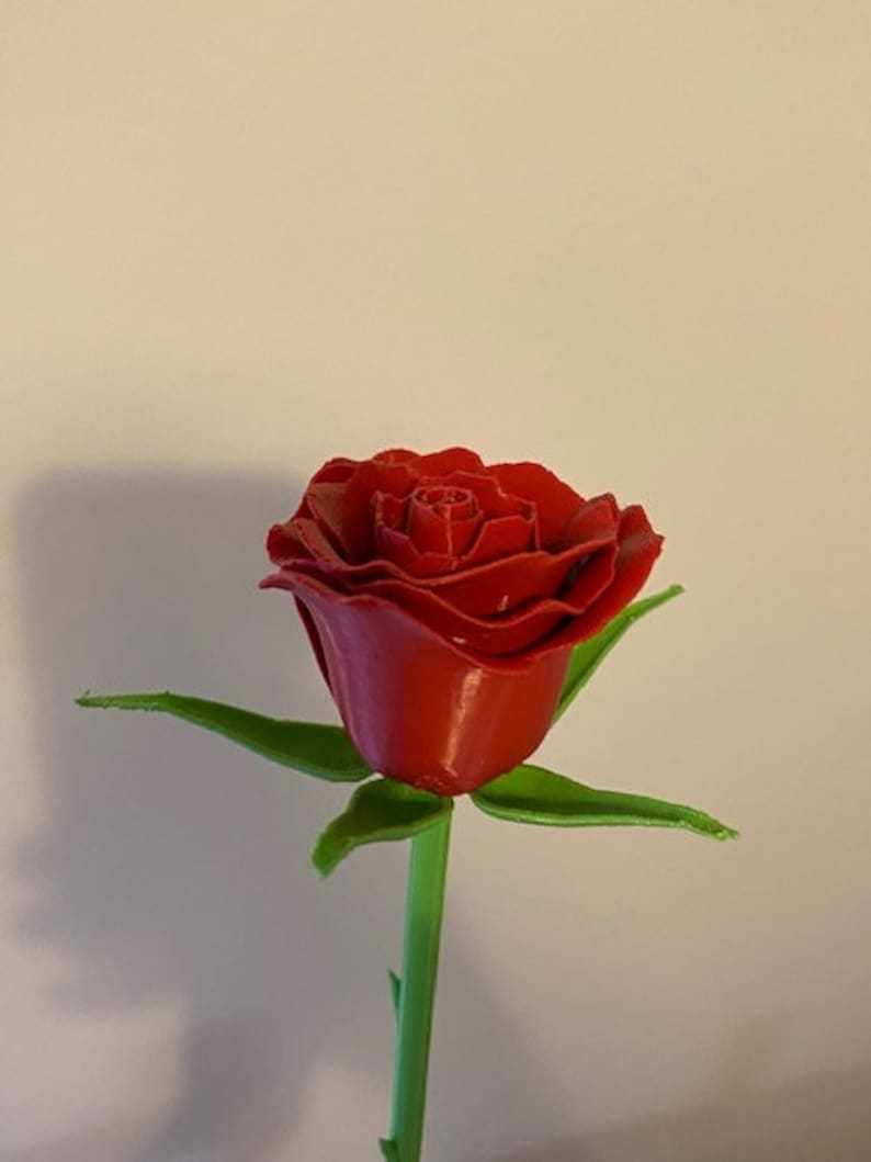 May include: A detailed red rose with a glossy finish, set against a neutral background. The green stem and leaves provide contrast. A classic floral design.