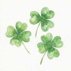 Può includere: Dipinto ad acquerello di tre trifogli verdi con quattro foglie ciascuno. I trifogli hanno un lavaggio ad acquerello verde chiaro con dettagli verde scuro, su sfondo bianco. L'immagine evoca la natura e la fortuna.