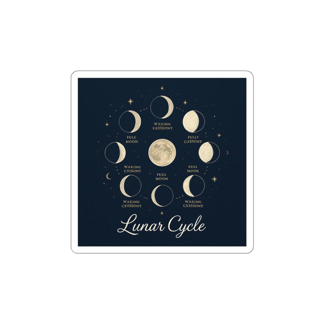 Lunar Cycle Sticker | Moon Phases Diagram, Astronomy Decal - Etsy