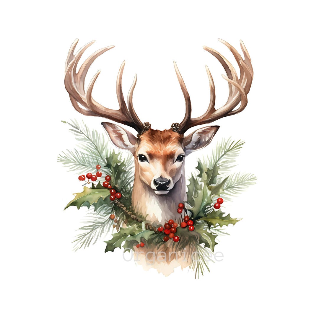 Christmas Deer Watercolor Clipart Set With Santa Reindeer Holiday ...