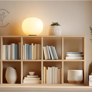 May include: A wooden bookshelf filled with books, decorative vases, and a round lamp. The books are in various colors, including white, blue, and beige. A small succulent plant sits on top of the shelf. The text "Organicee" is visible.