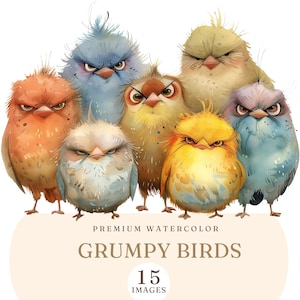 Imágenes prediseñadas de acuarela de pájaros gruñones / Ilustraciones de pájaros lindos y enojados / Imágenes PNG de pájaros gruñones divertidos y lindos / Dibujos animados de pájaros malhumorados imprimibles / Pájaros peculiares