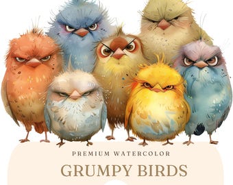 Grumpy Birds Watercolor Clipart / Angry Cute Bird Illustrations / Funny Cute Grumpy Bird PNG/ Moody Bird Cartoon Printables / Quirky Birds
