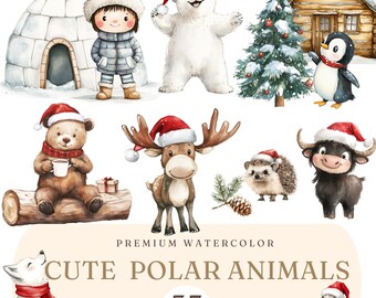 Imágenes prediseñadas de animales polares navideños - Animales invernales árticos en acuarela - Oso polar PNG - Ilustraciones navideñas polares - Licencia comercial