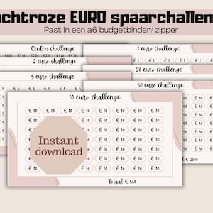 Sfida di risparmio in euro rosa tenue | a6 | Sfida dei centesimi | Sfida dell'Euro | Scarica | Olandese