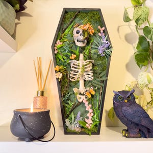 Caja de sombras con forma de esqueleto y ataúd, arte de pared gótico hecho a mano, decoración alternativa