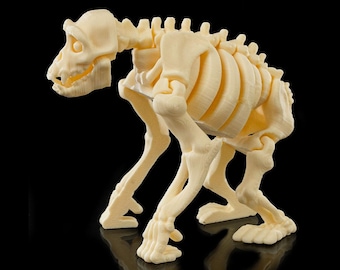 3d Skeleton Safari Animals!