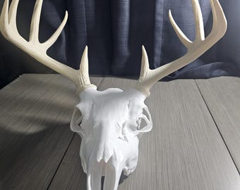 3-Piece 3D Deer Skull with Antlers  Rustic Wall Art