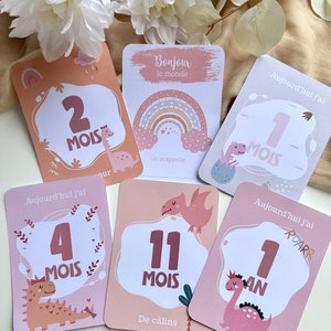 Può includere: Un set di biglietti per le tappe fondamentali del bambino in tonalità rosa e pesca. Ogni biglietto presenta un'illustrazione di dinosauro e testi come "2 MOIS", "1 MOIS", "4 MOIS", "11 MOIS" e "1 AN". Un biglietto recita "Bonjour le monde".