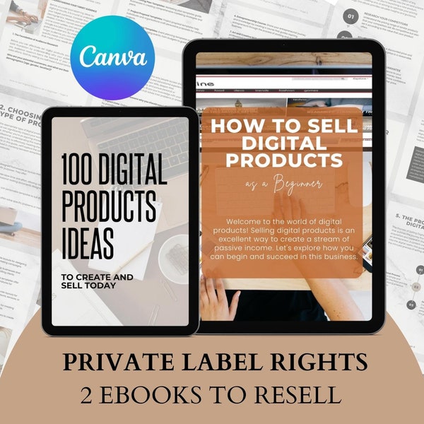 PLR Cómo vender productos digitales como libro electrónico para principiantes para revender, 100 productos digitales para crear y vender un paquete Canva editable, guía hecha para usted