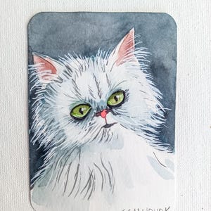 Peinture originale ACEO : "Chat blanc"