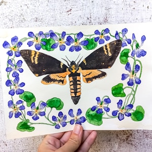 Original Aquarell-Illustration: „Schmetterling mit totem Kopf“