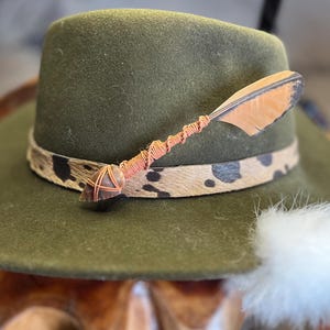 Hat Feather / Arrow