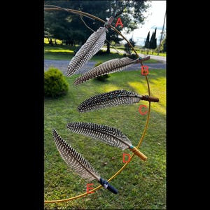 Hat Feathers (Guinea Hen)