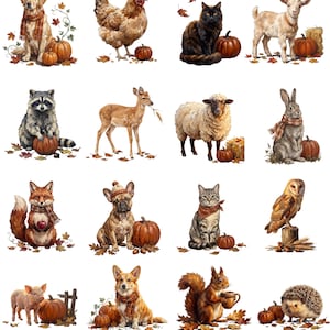 Puede incluir: Una colección de dieciséis ilustraciones individuales que presentan varios animales, incluyendo un golden retriever, una gallina, un gato negro, una cabra, un mapache, un ciervo, una oveja, un conejo, un zorro, un bulldog francés, un gato atigrado, un búho, un cerdo, un corgi, una ardilla y un erizo.