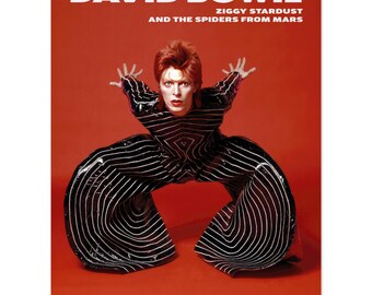 デビッドボウイ　スターマン1972年　当時物ポスター デビッドボウイ スターマン1972年 当時物ポスター - メルカリ