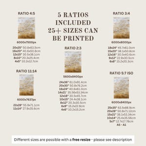 a poster with a description of different sizes and sizes
