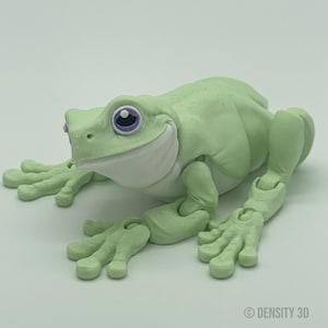 Tree Frog Flexi Art Figurine - Magnet Version - Articulated and 3D Printed - Decor