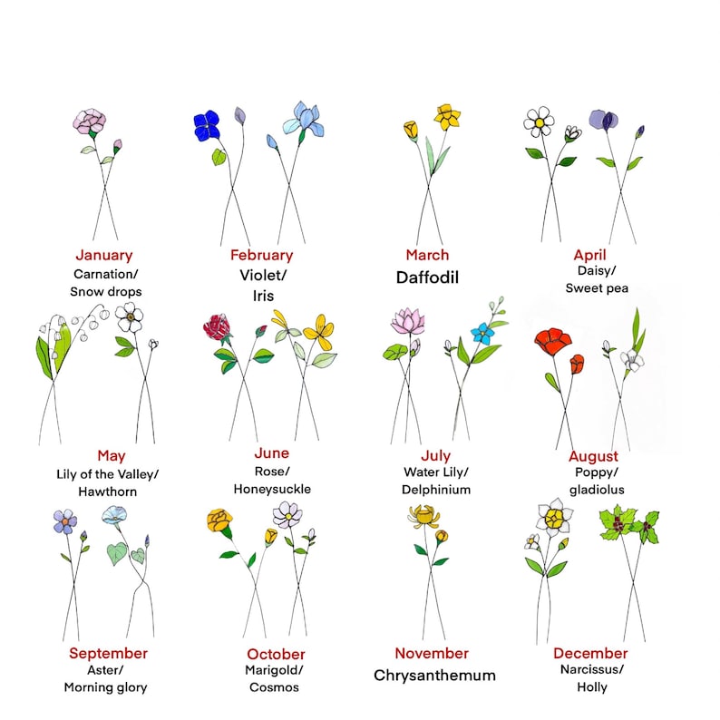 May include: A white background features a grid of 12 floral illustrations, each representing a month. Each drawing includes the month's name and the corresponding flower names, such as "January/Carnation/Snow drops."