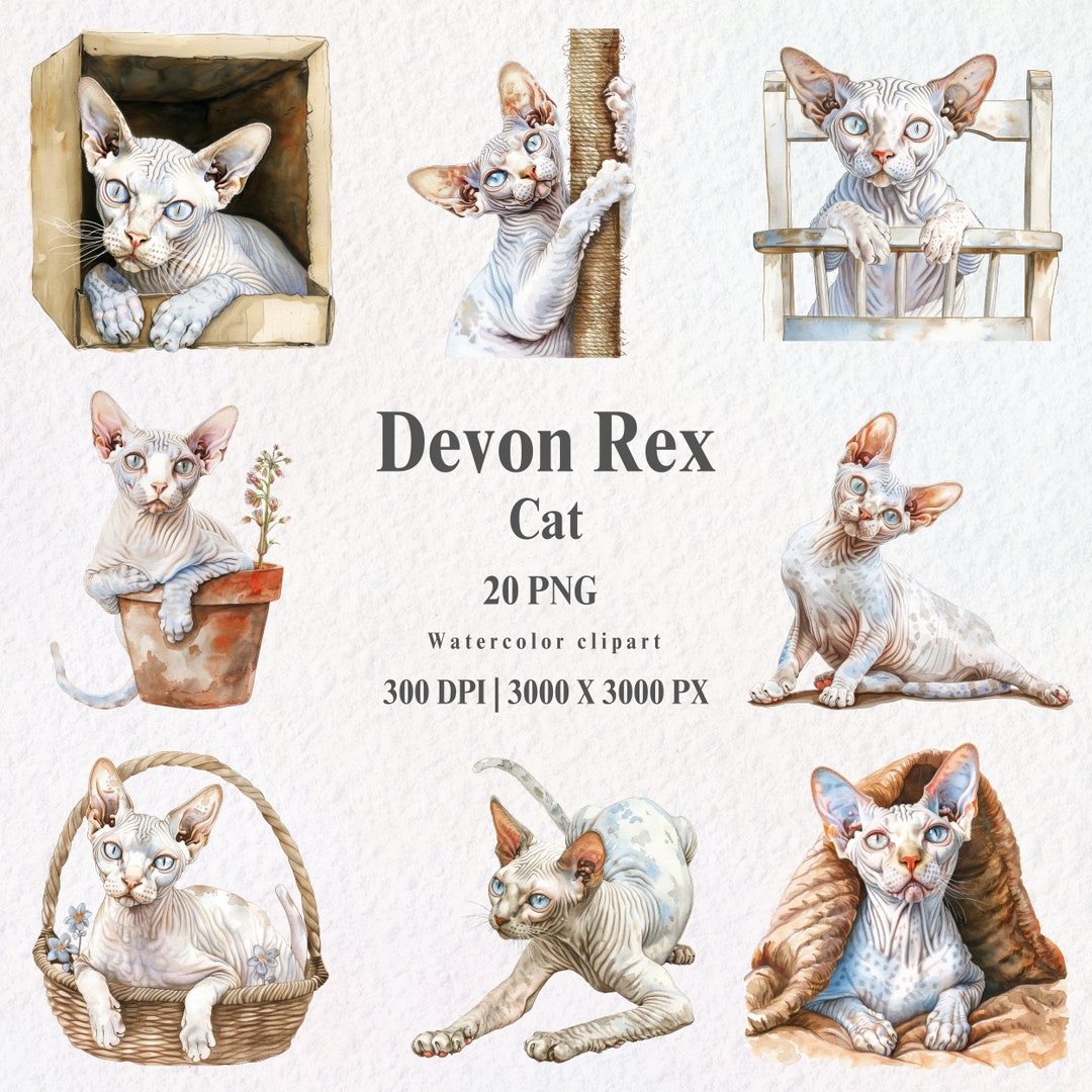 Devon Rex Cat Clipart Bundle PNG, Watercolor Cat Clipart, Cat Lover ...
