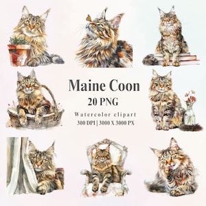 Ensemble de cliparts chat Maine coon aquarelle, clipart animaux, travaux manuels pour amoureux des chats, parfait pour les projets sur le thème des animaux de compagnie, impression d'affiches, autocollants numériques