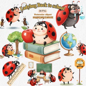 Ladybug Back to School Clipart | Cute Bug School PNG Set | Watercolor Classroom Insect Illustrations | bug learning theme