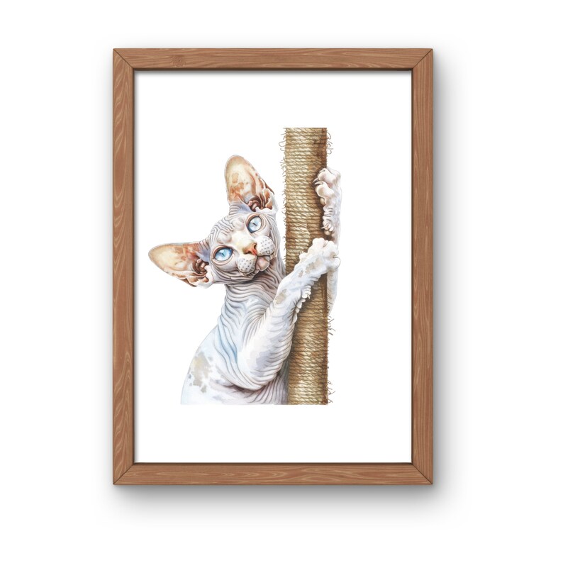 Devon Rex Cat Watercolor Clipart Bundle: Pet-themed PNG (digital ...