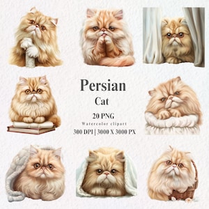 水彩画のペルシャ猫のクリップアートバンドル、猫のクリップアート、猫好きのクラフト、ペットをテーマにしたプロジェクトに最適、ペルシャ猫のイラスト、かわいい猫のPNG