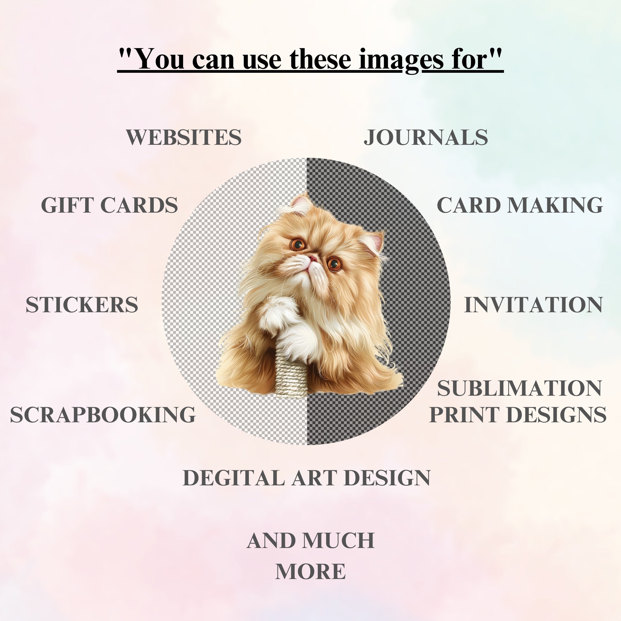 Watercolor Persian Cat Clipart Bundle: Pet-themed PNG (digital Download ...