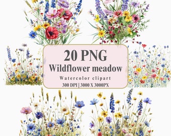 Watercolor Wildflower Clipart: Summer Meadow PNG Images (Commercial Use)