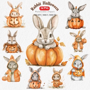 Aquarell Kaninchen Halloween Cliparts, 34 PNG Halloween Cliparts, Halloween Cliparts, niedlichen Halloween Cliparts, Baby Kaninchen PNG Bundle, Kostüm Kürbis, Aufkleber