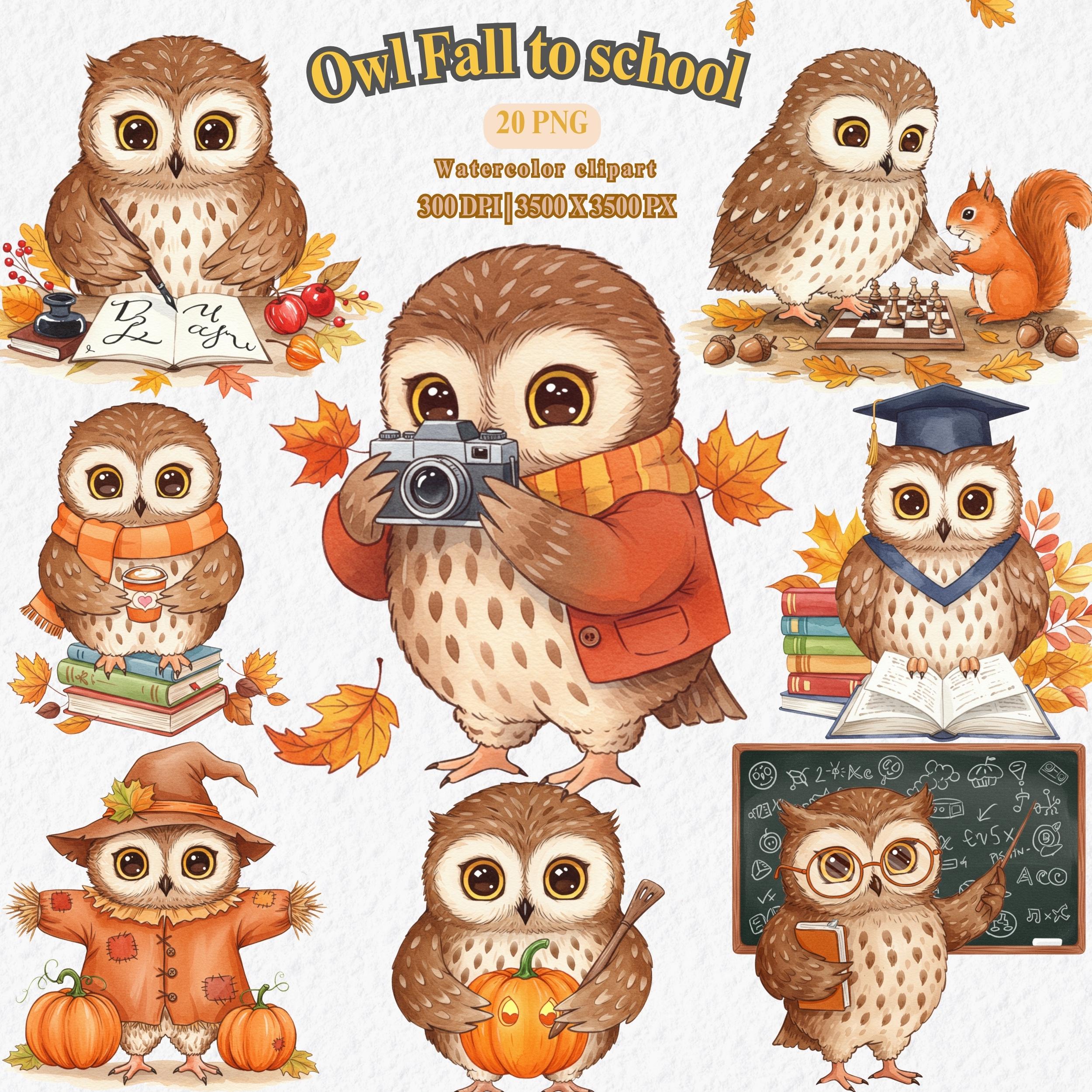 Owl Fall School Clipart | Cute Autumn Owl Teacher PNG | Watercolor Back ...