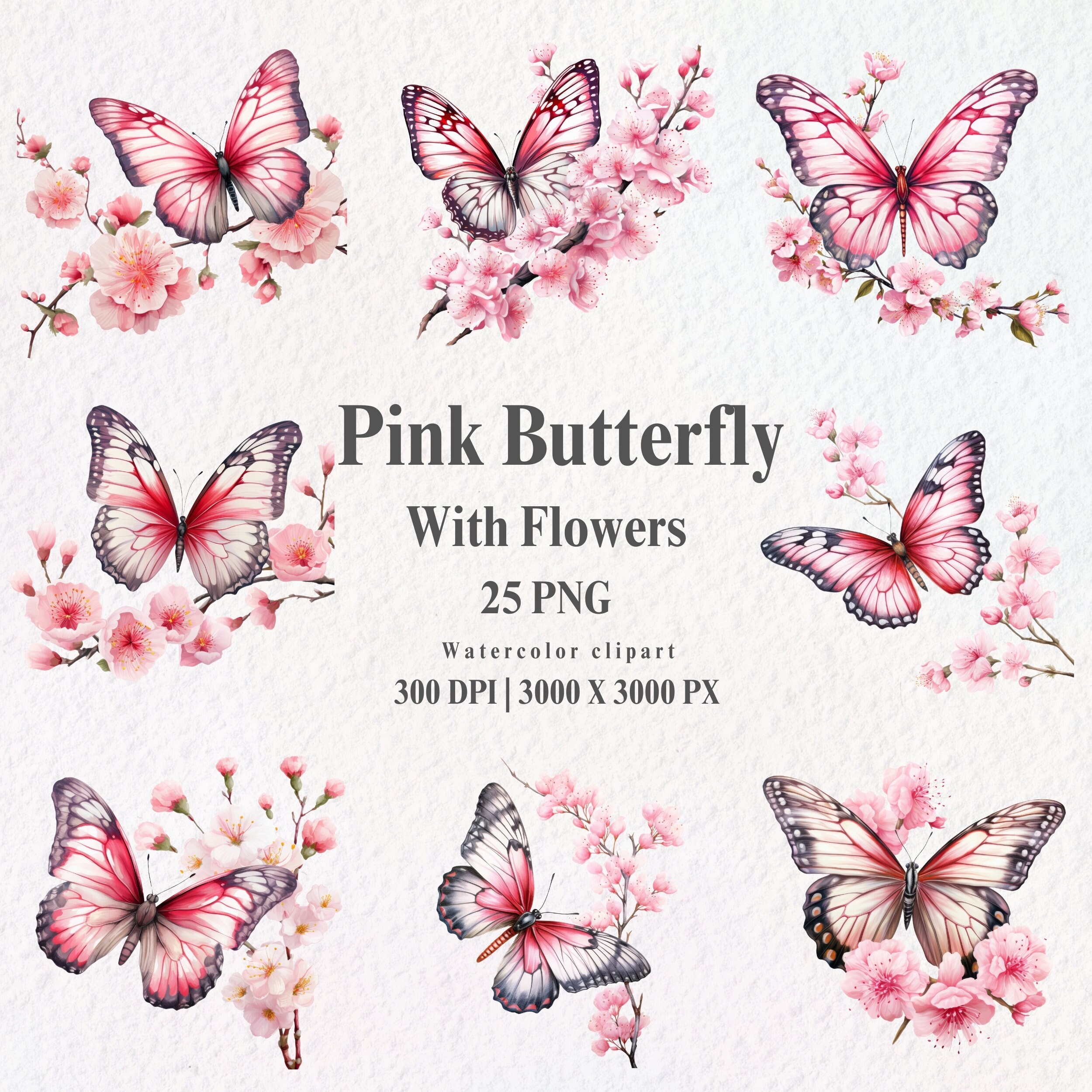 Address Book: Pink Butterfly & Flowers With Tabs For Ethiopia