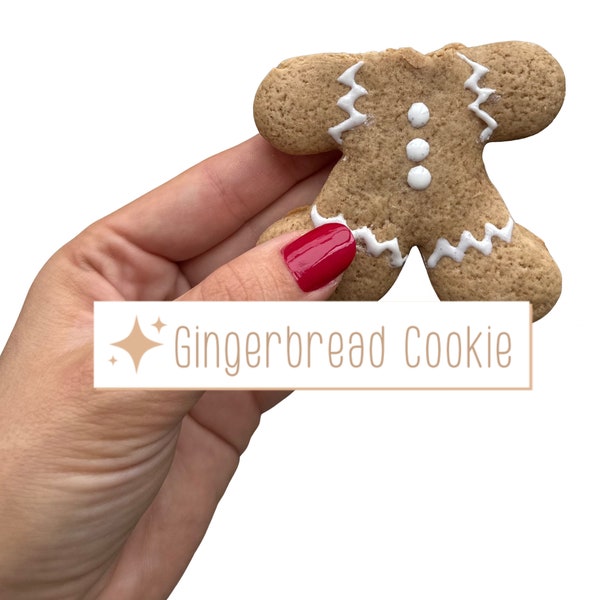 Gingerbread Cookie Photoshop