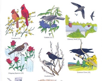 Vintage Coloring Book, Fifty Favorite Birds, Dover Coloring Book, Pdf Instant Download