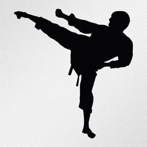 Karate Fighter Car Laptop Motorbike Vinyl Decal Sticker