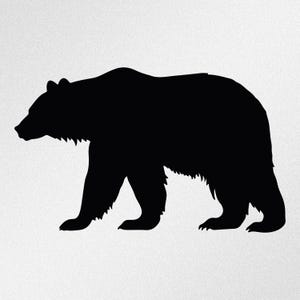 Bear Car Laptop Motorbike Vinyl Decal Sticker
