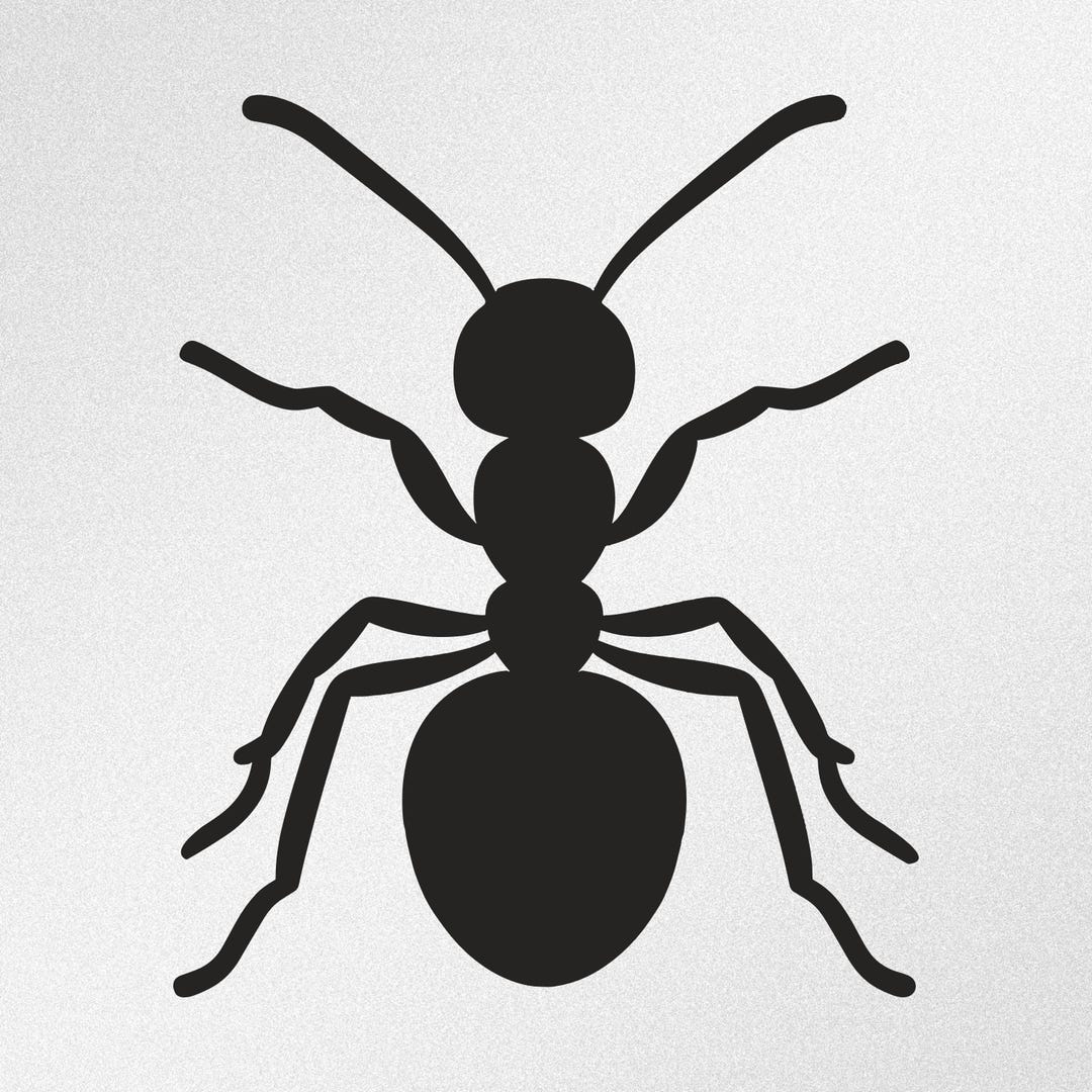 Ant Car Window Bumper Laptop Vinyl Decal Sticker - Etsy