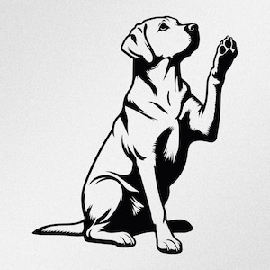 Naklejka winylowa siedzącego labradora retrievera